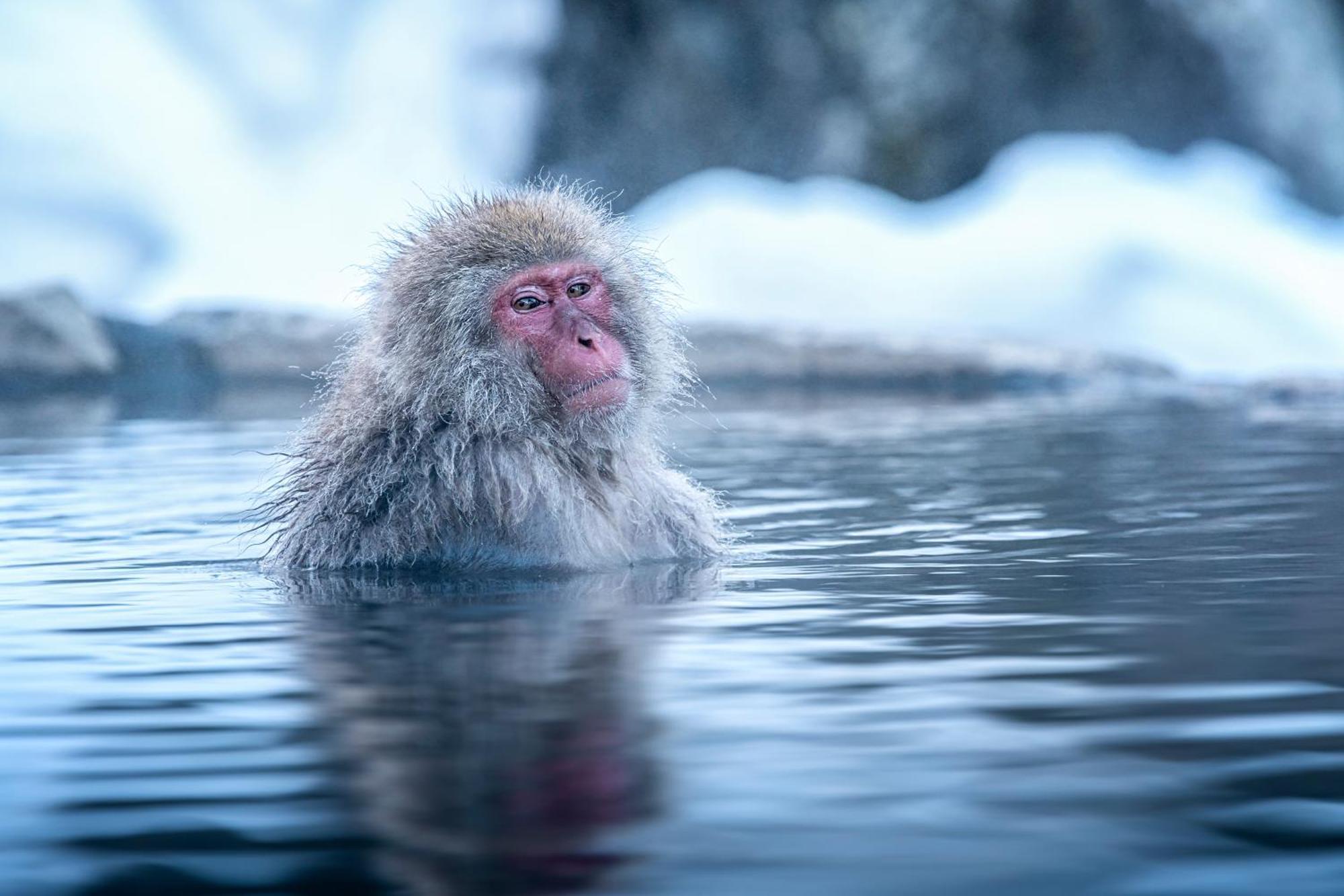 The Toji Ba Matsukawakan Takayama  Dış mekan fotoğraf